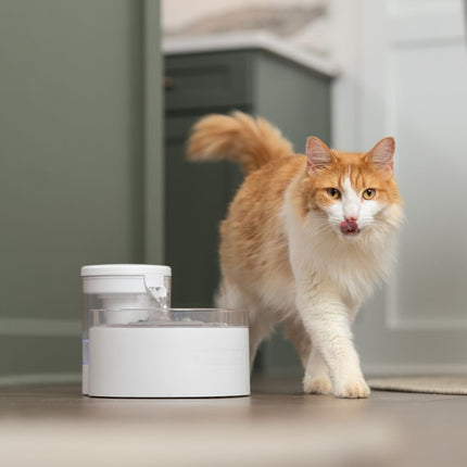Outlast™ 1.7 L Pumpless Pet Fountain