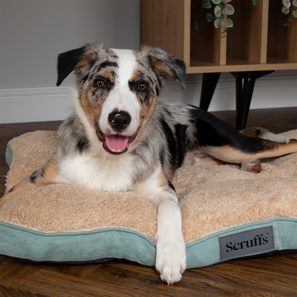 Display Cosy Mattress Combo - 18 stuks