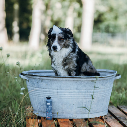 Hundeshampoo Black Coat 270 ml