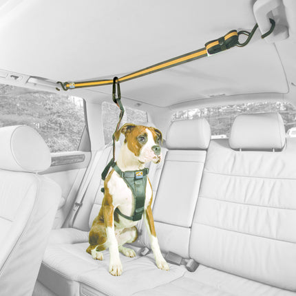 Auto Zip Line für Hunde