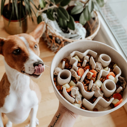 BAMBOO Slow Feeder Dog Bowl