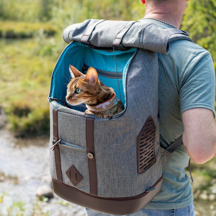 Rucksack für Hunde