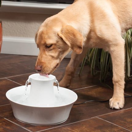 Avalon Pet Fountain - 2 L
