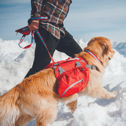 Big Baxter Rucksack