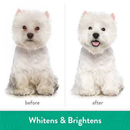 Whitening Shampoo - 355ml