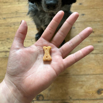 Treats - Cashew with Pumpkin Seed &amp; Carrot