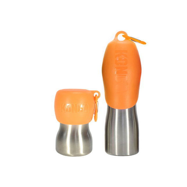 H2O Stainless Steel Water Bottle