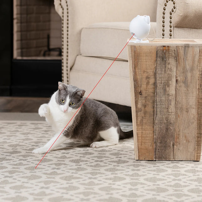 Dancing Dot™ Laserspielzeug für Katzen