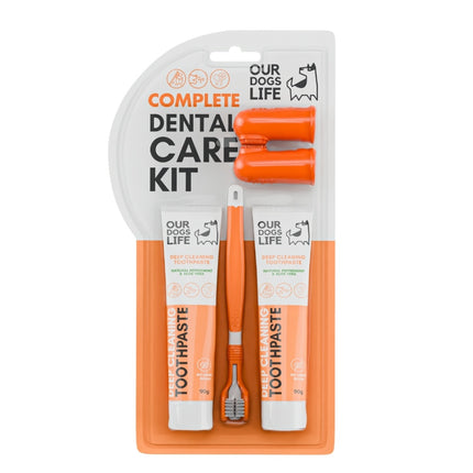 Dental Kit