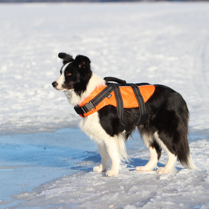 Safety Life Vest