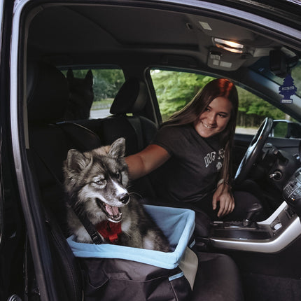 Rover Booster Seat
