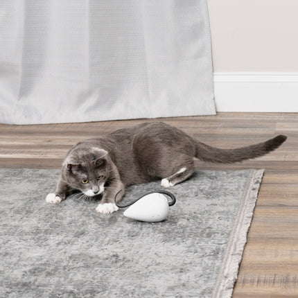 RoloRat Automatic Cat Teaser