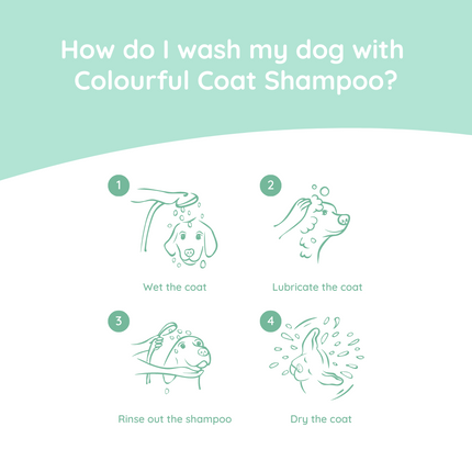Hundeshampoo Colorful Coat 270 ml