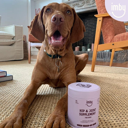 Hip & Joint Supplement for Dogs