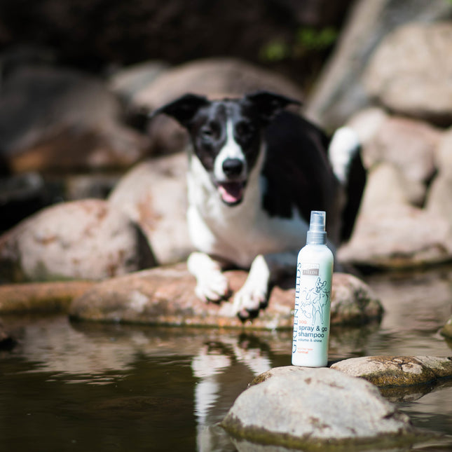 Dog Spray &amp; Go Shampoo 270 ml