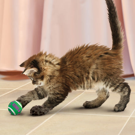 Cat Active Tennis Balls with Bells