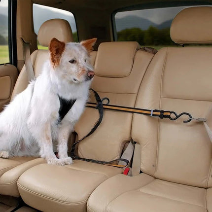 Auto Zip Line für Hunde