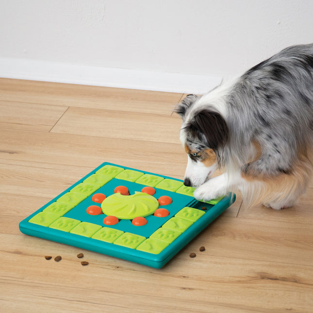 Multipuzzle