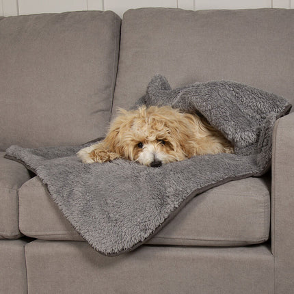 Cosy Blanket