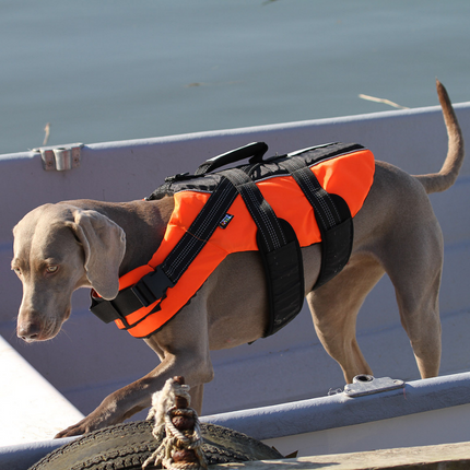 Safety Life Vest