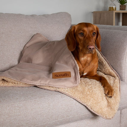 Display Cosy Blanket - 40 Stück