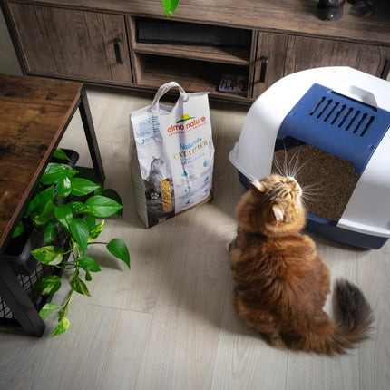 Cat Litter - Grain Texture