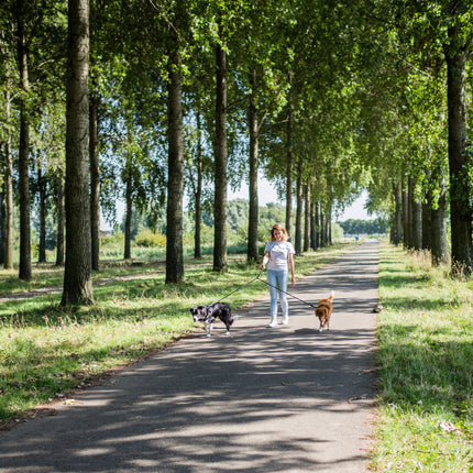 Verstellbare Doppel-Hundeleine