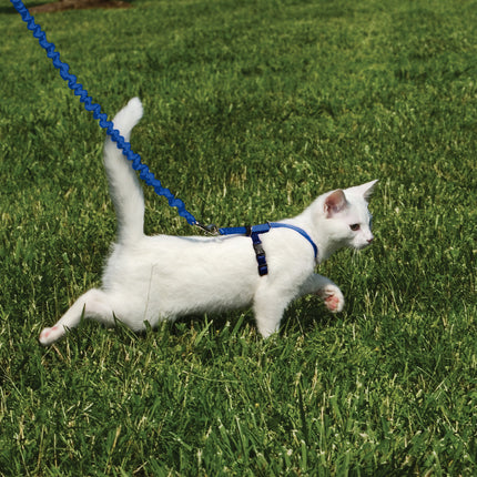 EasyWalk Katzengeschirr mit Bungee-Leine