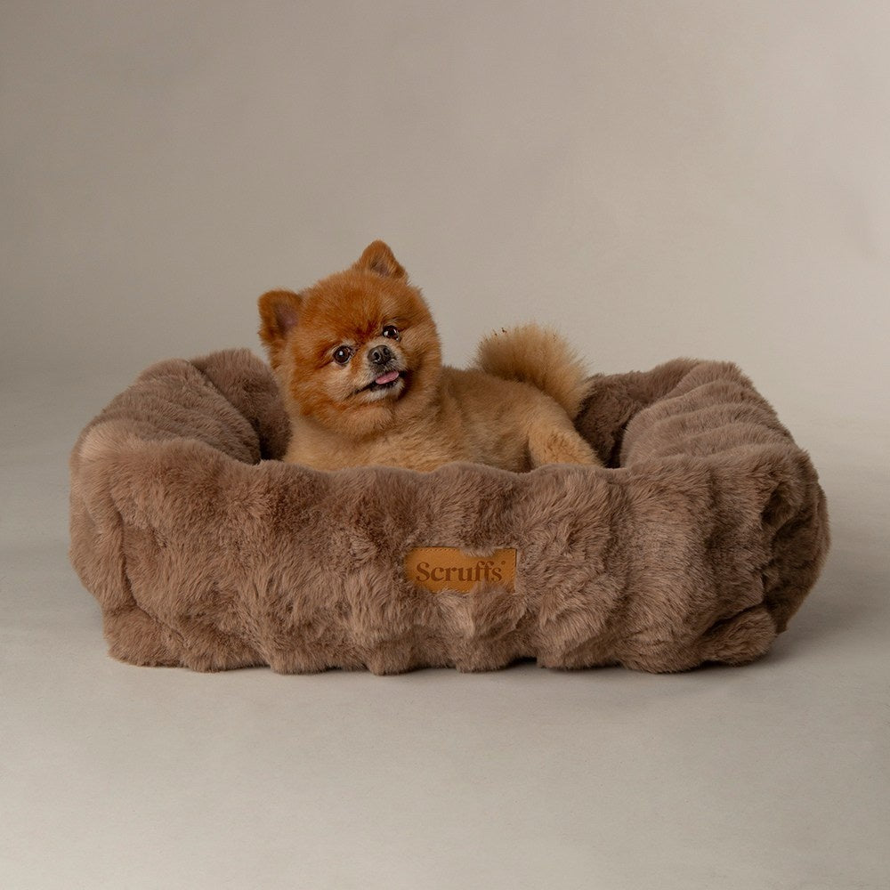 Scruffs - The leading UK company for dog beds Scruffs - The leading UK company for dog beds