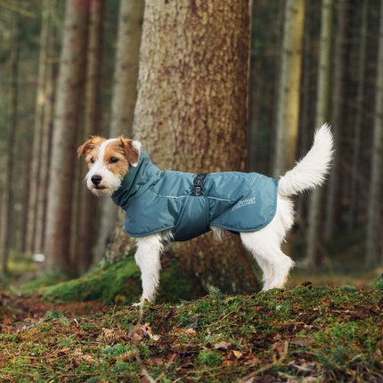 Stormy Coat