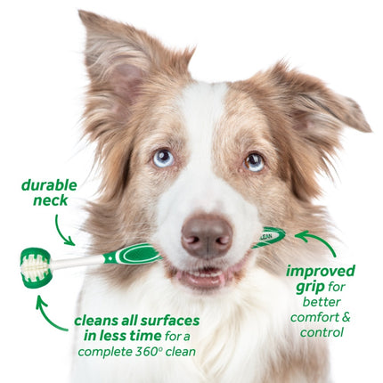 Fresh Breath - Oral Care Kit for Big Dogs