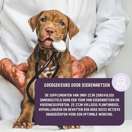 Hip & Joint Supplement for Dogs