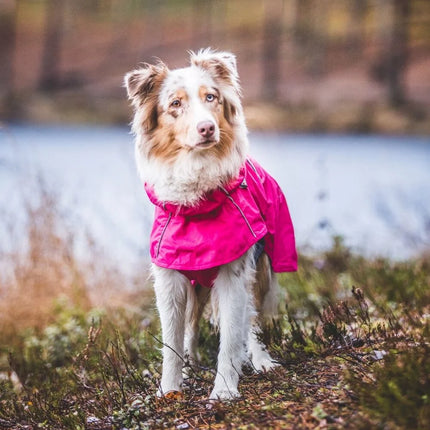 Hase Raincoat