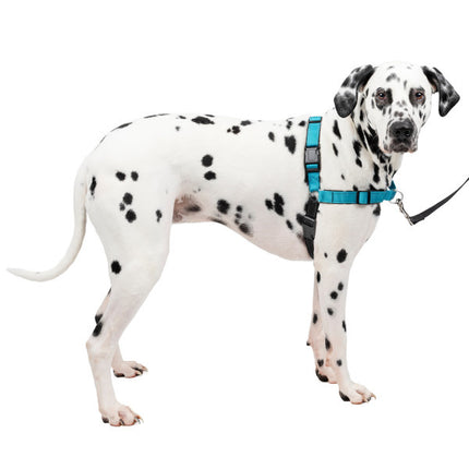 Easy Walk Deluxe Geschirr