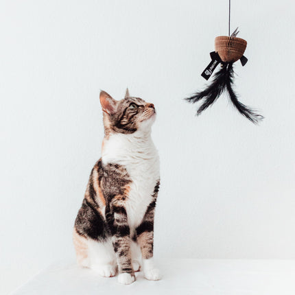 BAIT Katzenangel