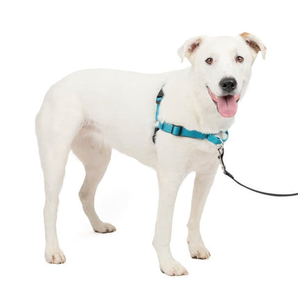 Easy Walk Deluxe Geschirr