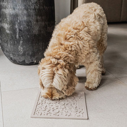 QUEST Lick mat for dogs