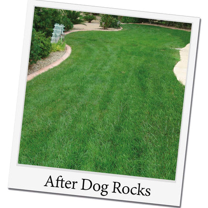 Dog Rocks