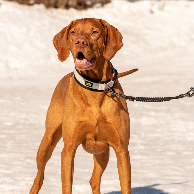 Bliss Anti-shock Extension