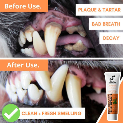 Dental Kit