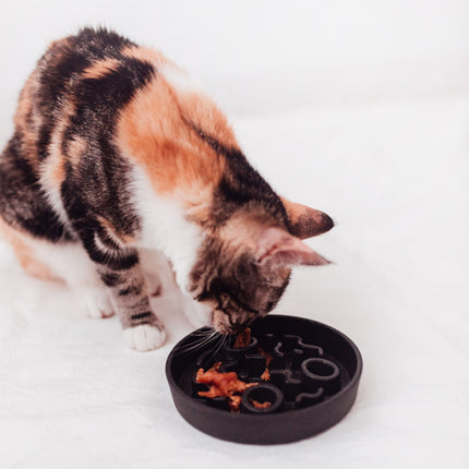 BAMBOO Slow Feeder Cat Bowl