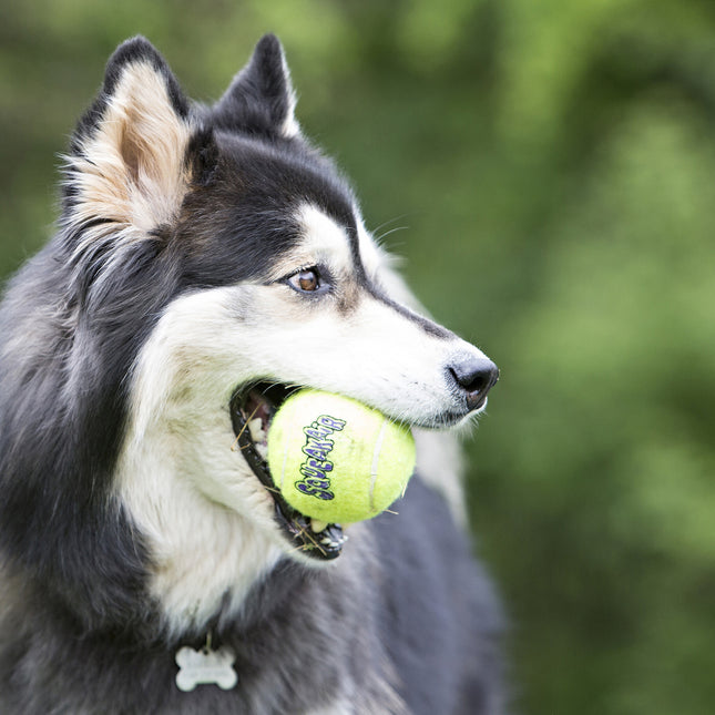 SqueakAir Ball