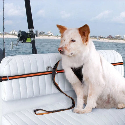 Auto Zip Line für Hunde