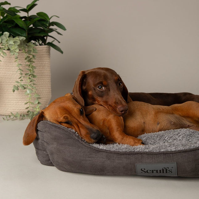 Cosy Box Bed