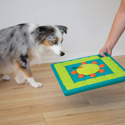 Multipuzzle