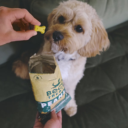 Treats - Peanut with Coconut &amp; Turmeric