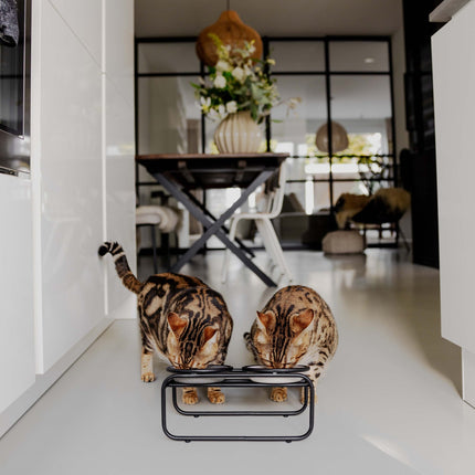 BUTLER Voerbakstandaard voor katten