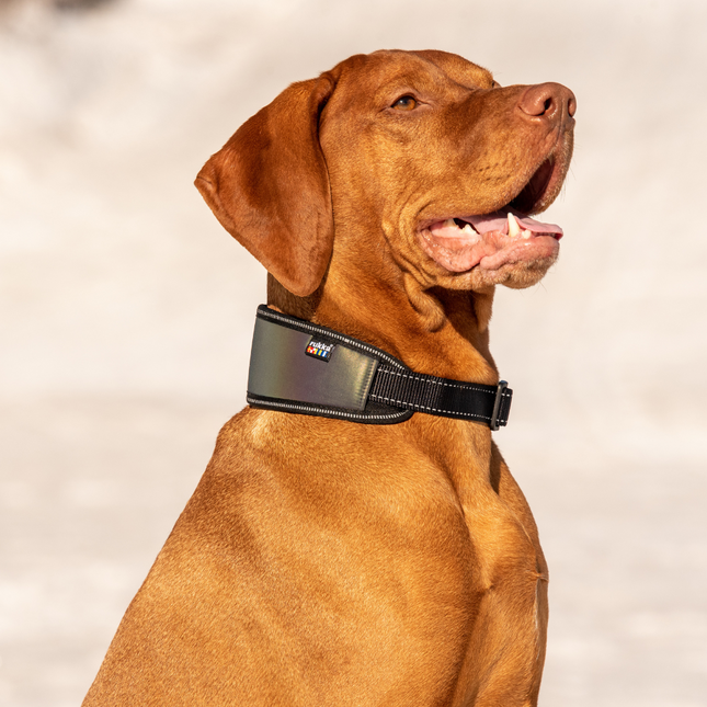 Luminous Soft Collar