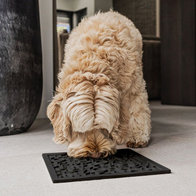 QUEST Likmat voor honden