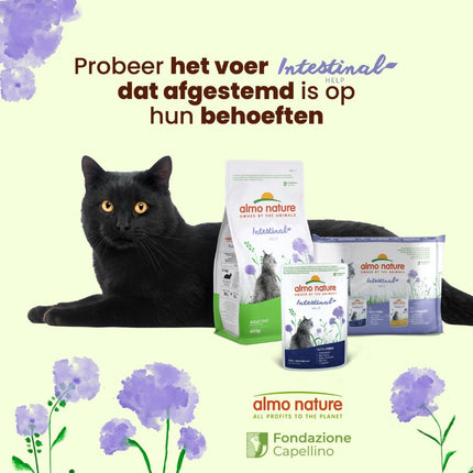 Intestinal Help Natvoer Kat - Multi Pack - 10 x 6 x 70g